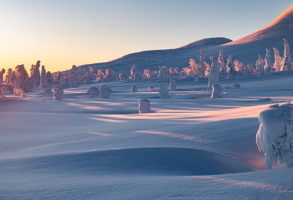 Photograph by Татьяна Егорова