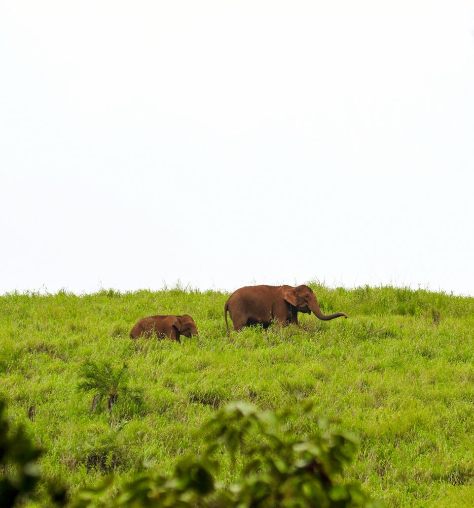 Photograph by SARAVANA MANICKAM