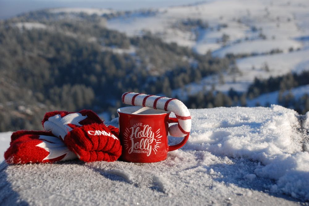 Photograph by Анна Невструева