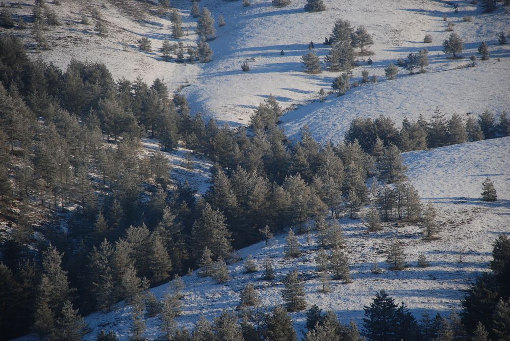 Photograph by Анна Невструева