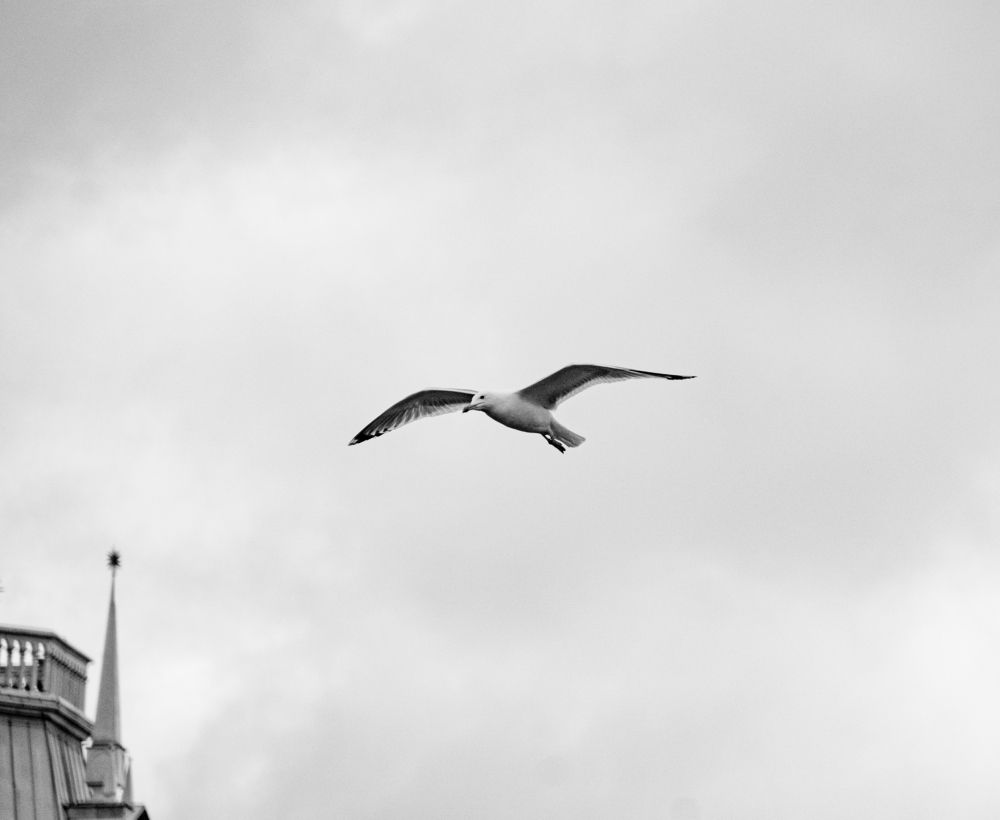 Photograph by Anna Prohorova