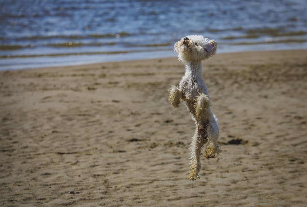 Фотография автора Евгений Печенин