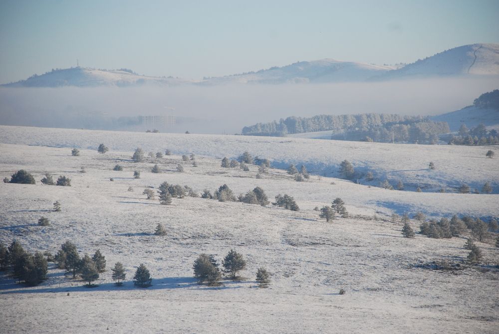 Photograph by Анна Невструева