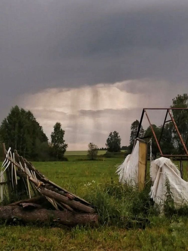 Photograph by Елена Сабирова