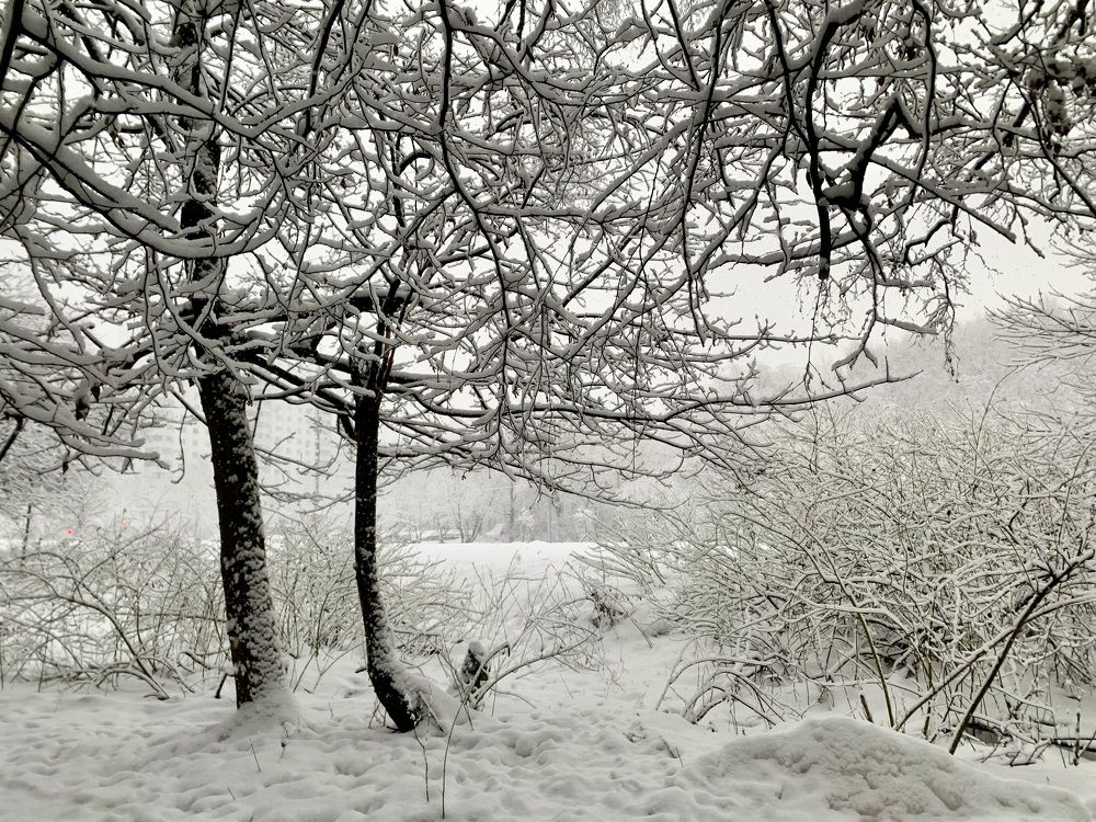 Photograph by Ионова Татьяна