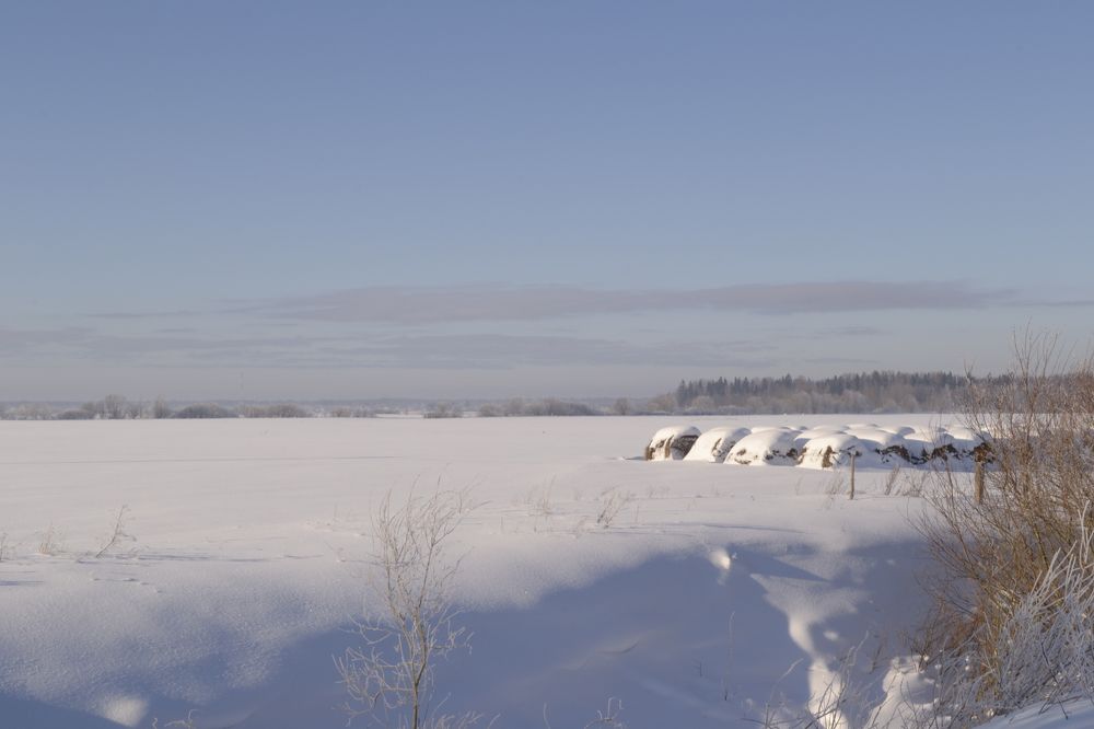 Photograph by Михаил Жуковский