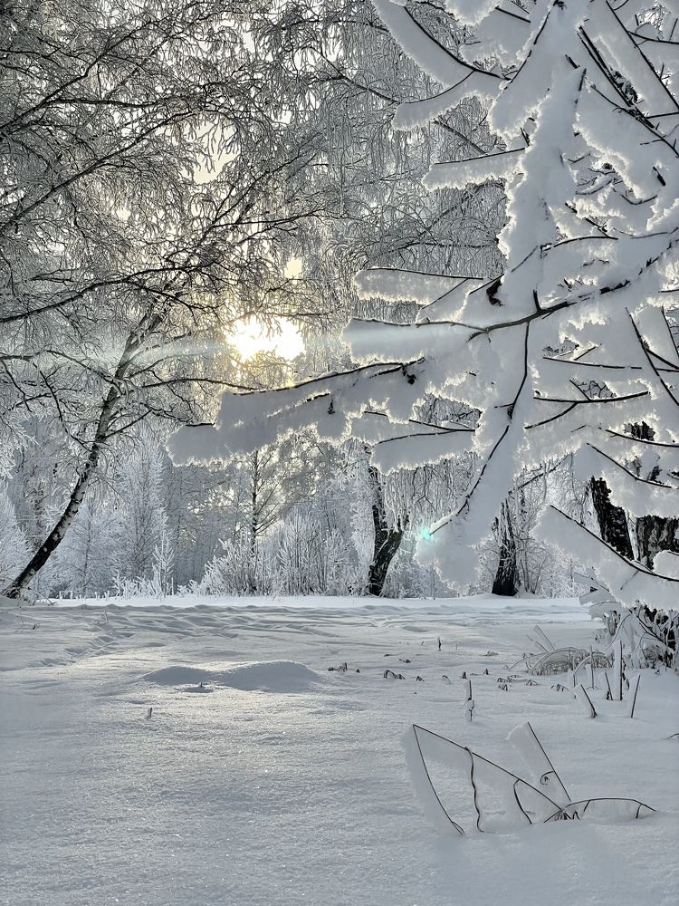 Photograph by Светлана Петренко