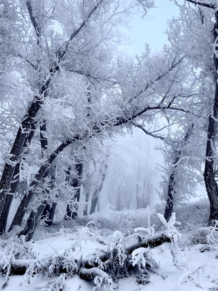 Photograph by Светлана Петренко