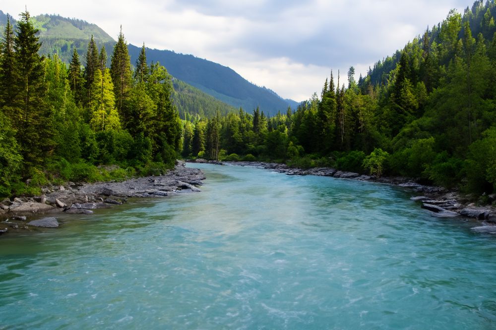 Фотография автора Кристина Догодька