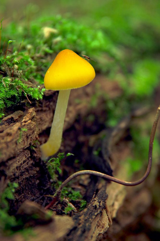 Photograph by Елена Щитова