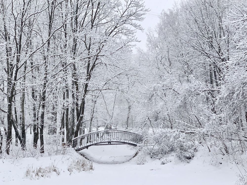 Photograph by Ионова Татьяна