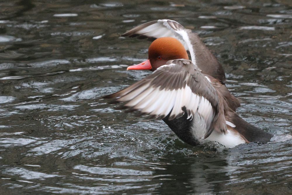 Photograph by Сергей Слукин