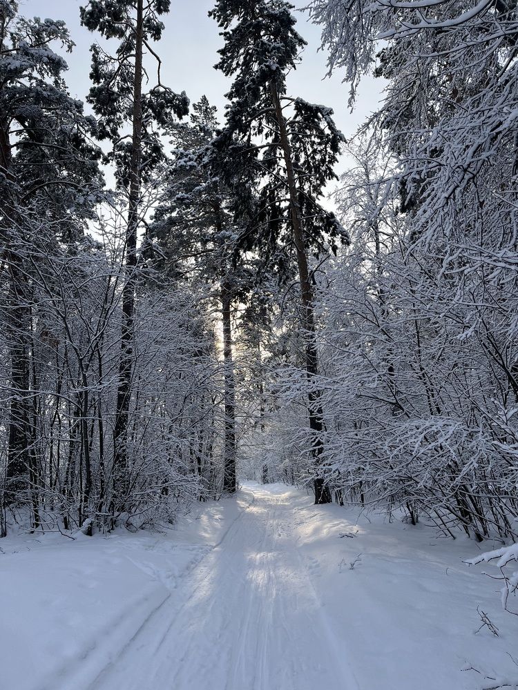 Photograph by Людмила Никитина