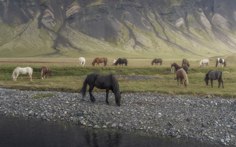 Photograph by Domenico Marrano