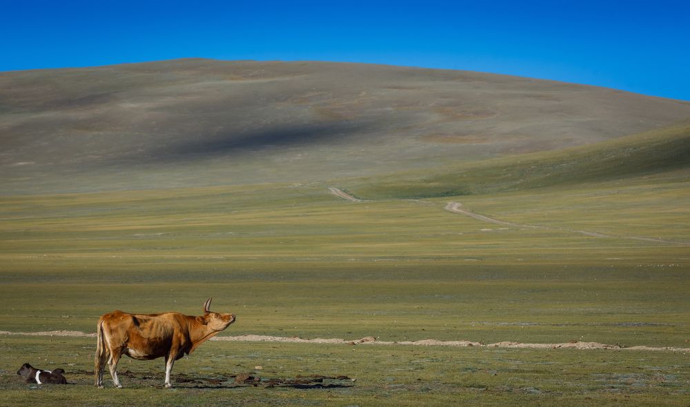 Фотография автора Евгений Печенин