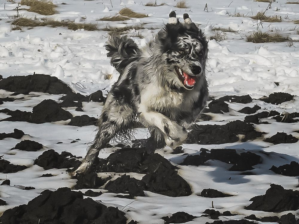 Photograph by Сергей Степанов