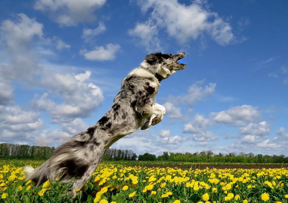 Photograph by Сергей Степанов