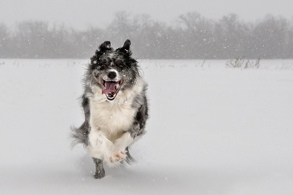 Photograph by Сергей Степанов