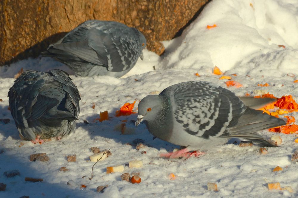 Photograph by Гагик Саркисян