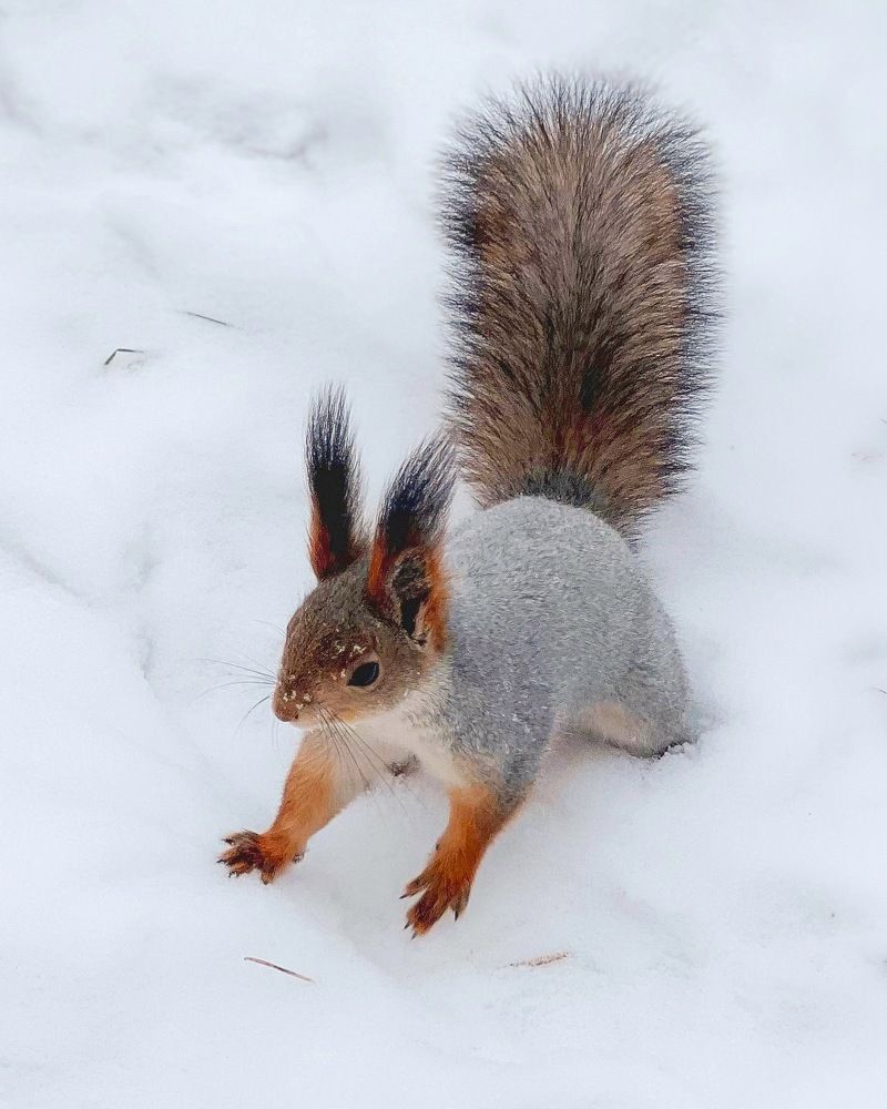 Photograph by Татьяна Волохова