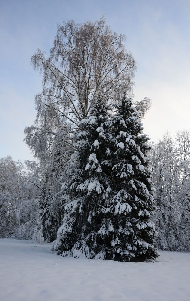 Photograph by Дмитрий Шарый