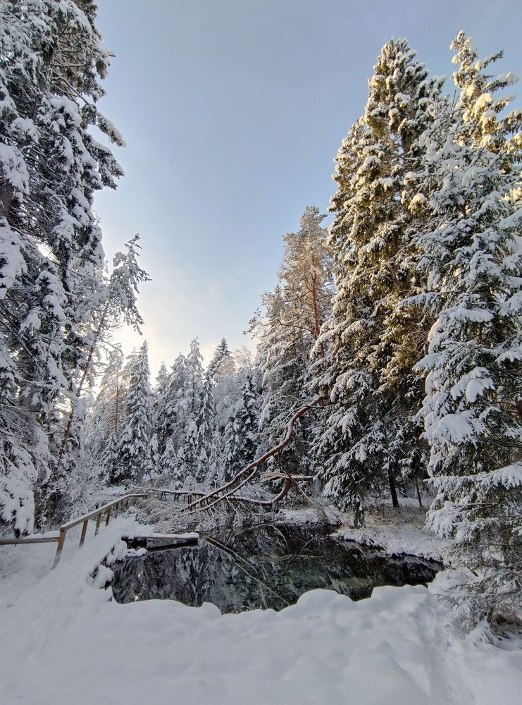 Photograph by Дмитрий Шарый