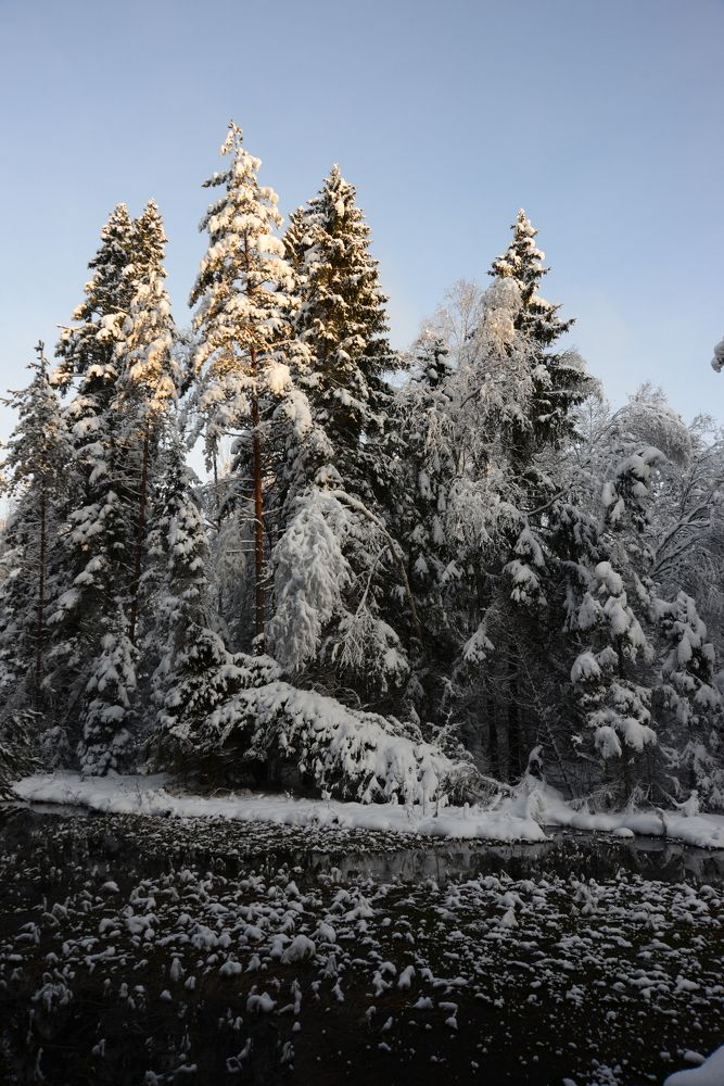 Photograph by Дмитрий Шарый