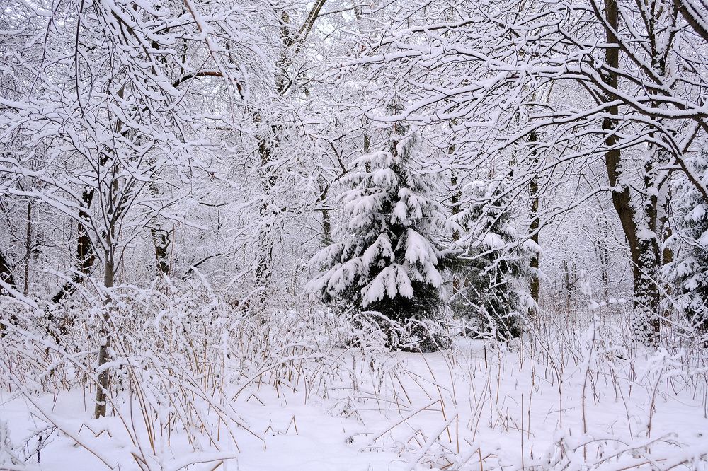 Photograph by Татьяна Павловская