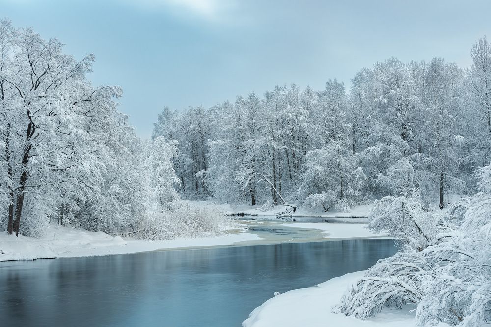 Photograph by Крицак Ольга
