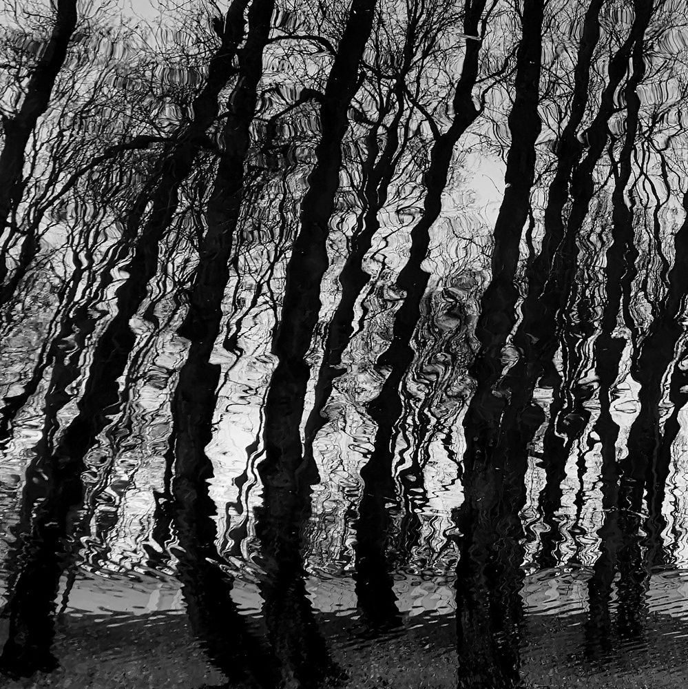 Photograph by Антон Лаба