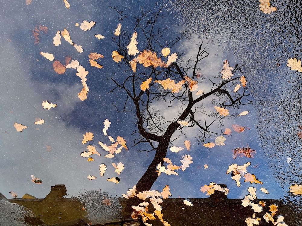 Photograph by Антон Лаба