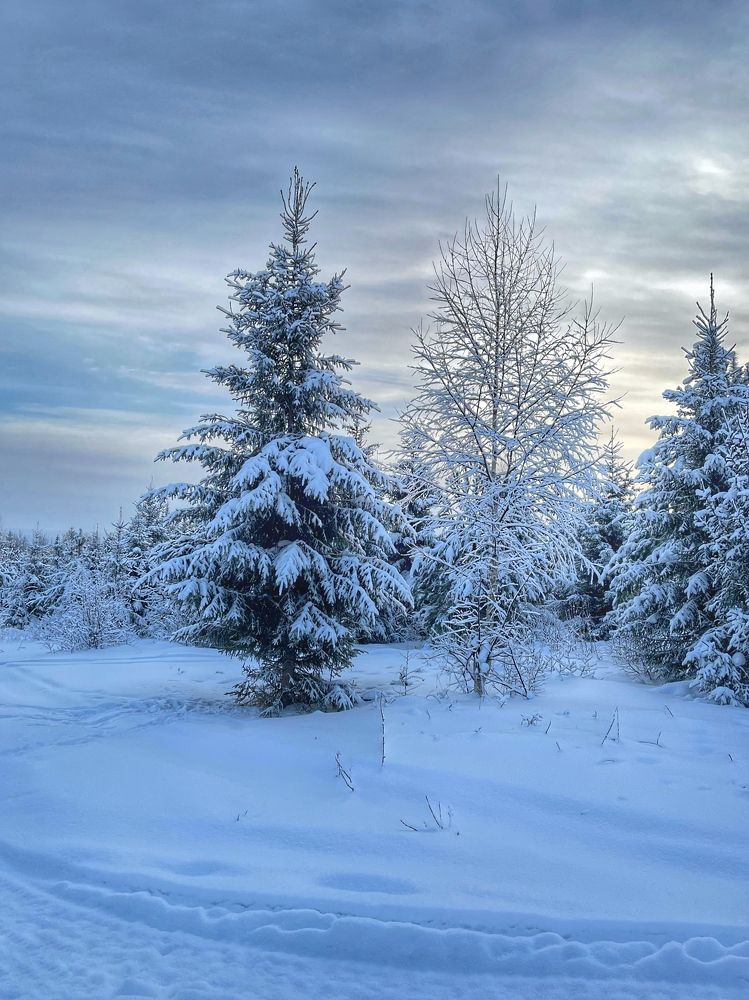 Photograph by Ирина Селиверстова