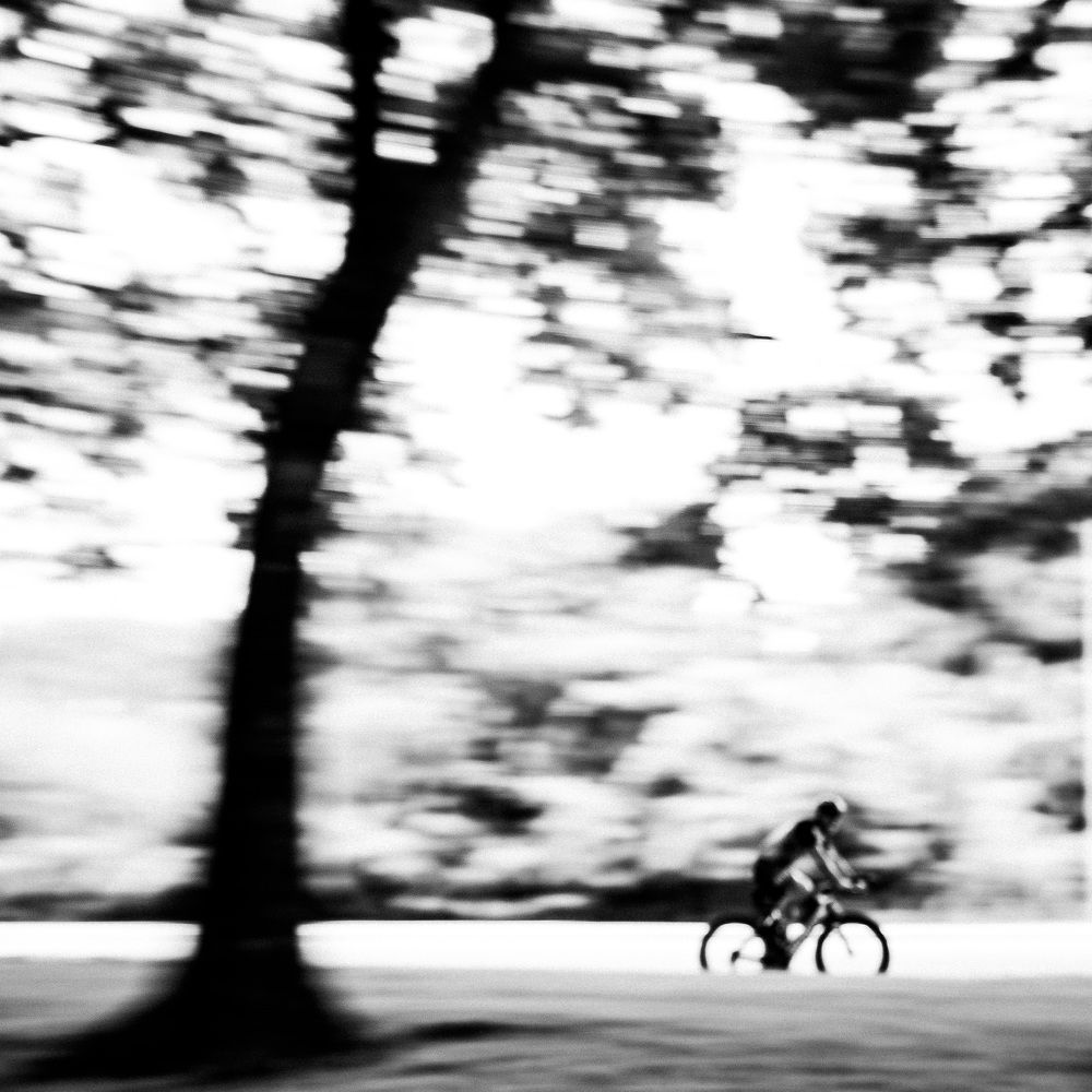 Photograph by francisco willian saldanha