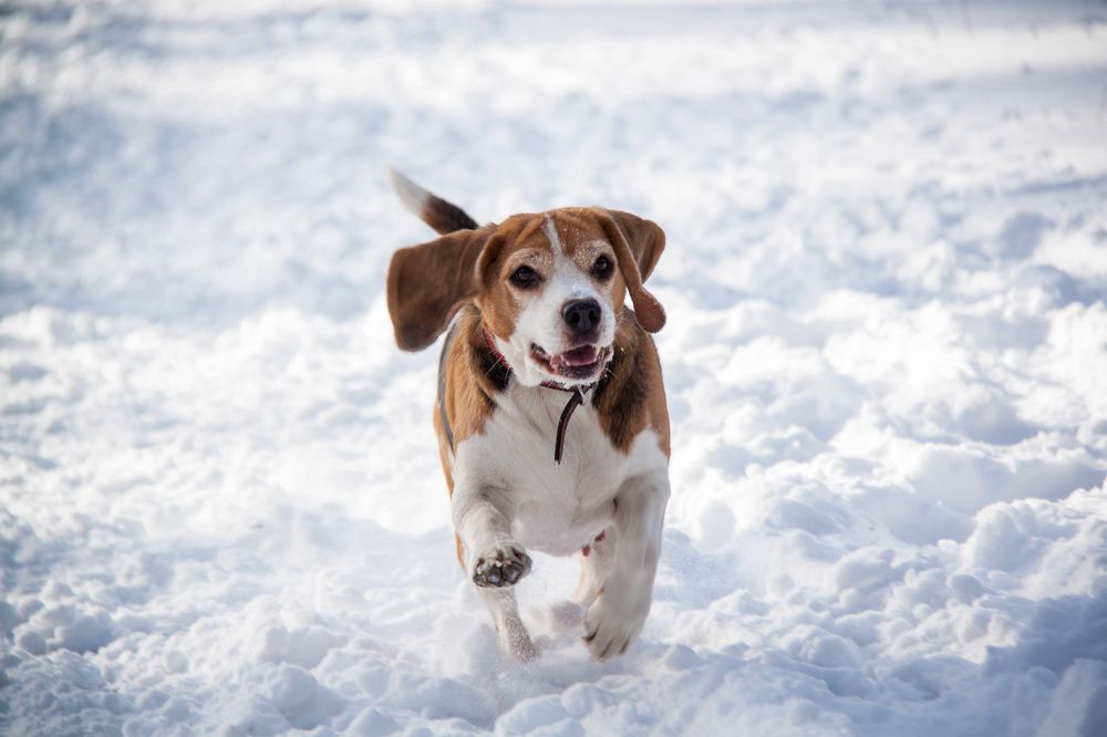 Photograph by Кристина