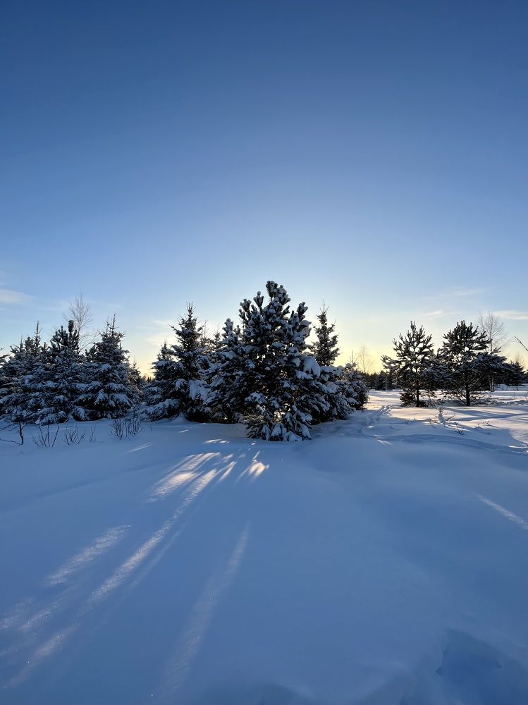 Photograph by Ирина Селиверстова