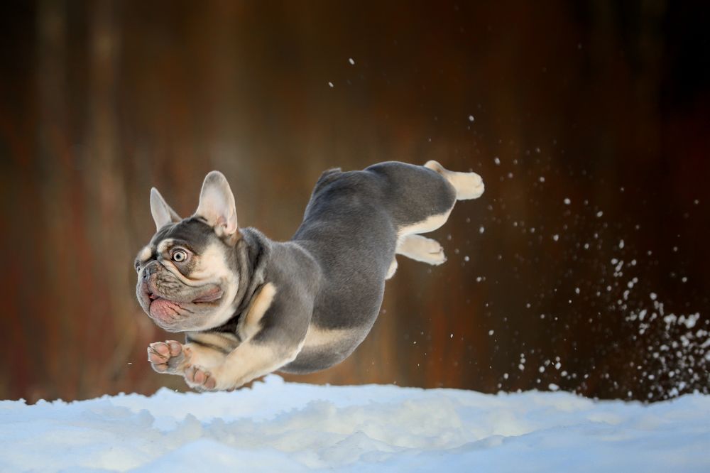 Photograph by Андрей Ершов