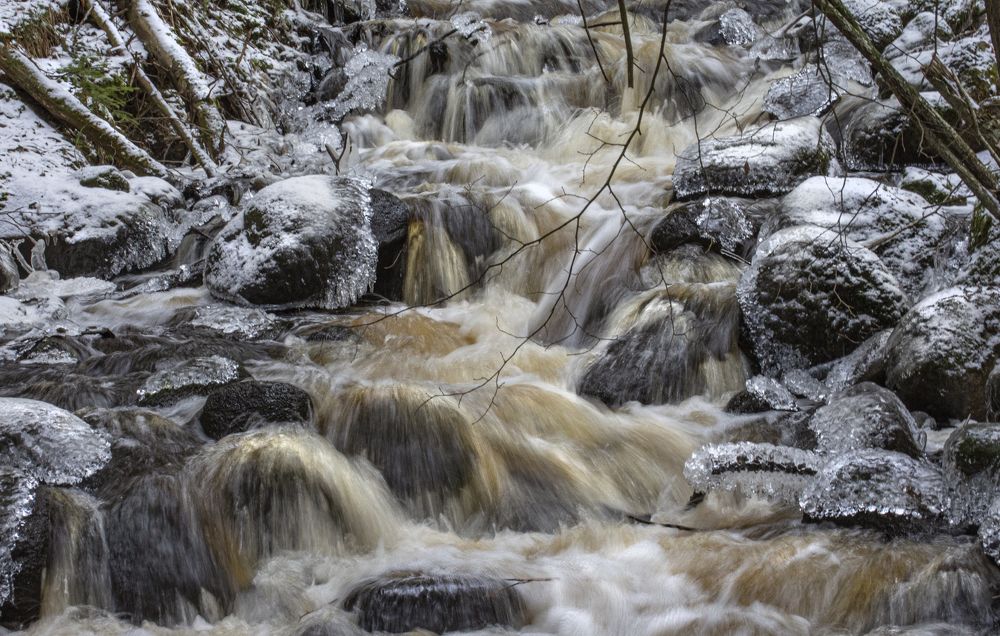 Фотография автора Татьяна Ливеровская