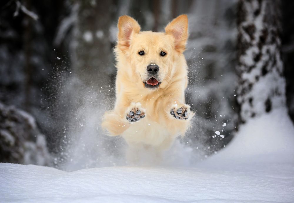 Photograph by Андрей Ершов