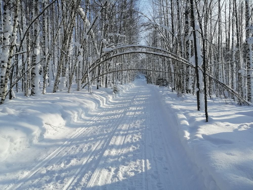 Photograph by Дмитрий Кравченко