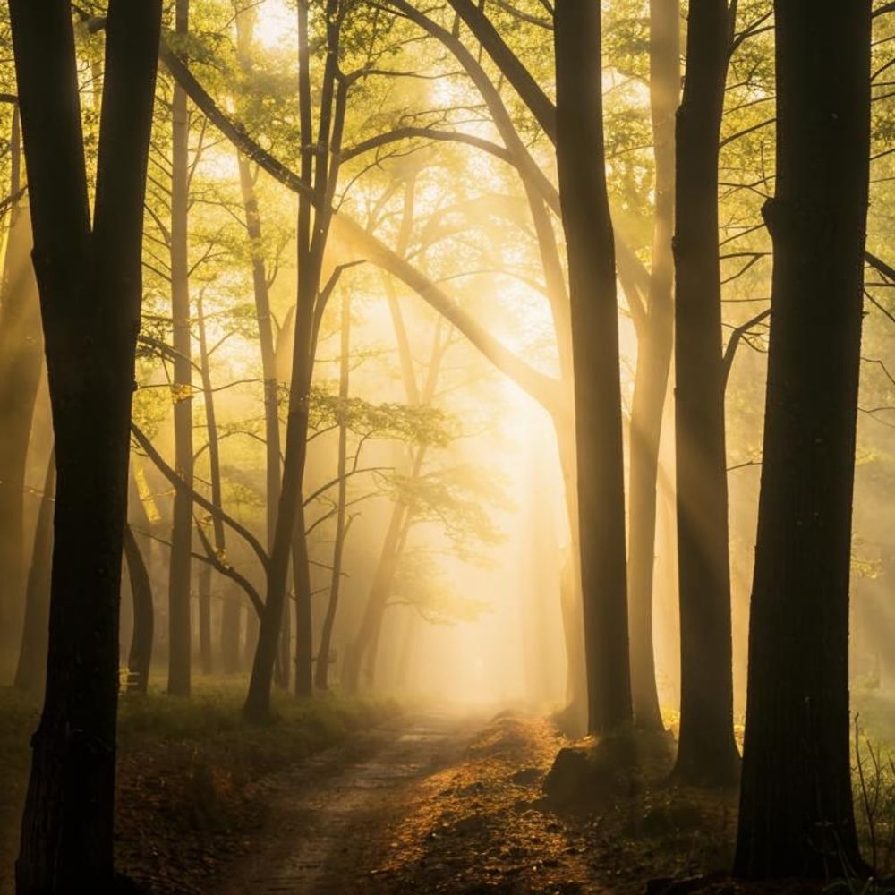 Photograph by Наталия Короленко