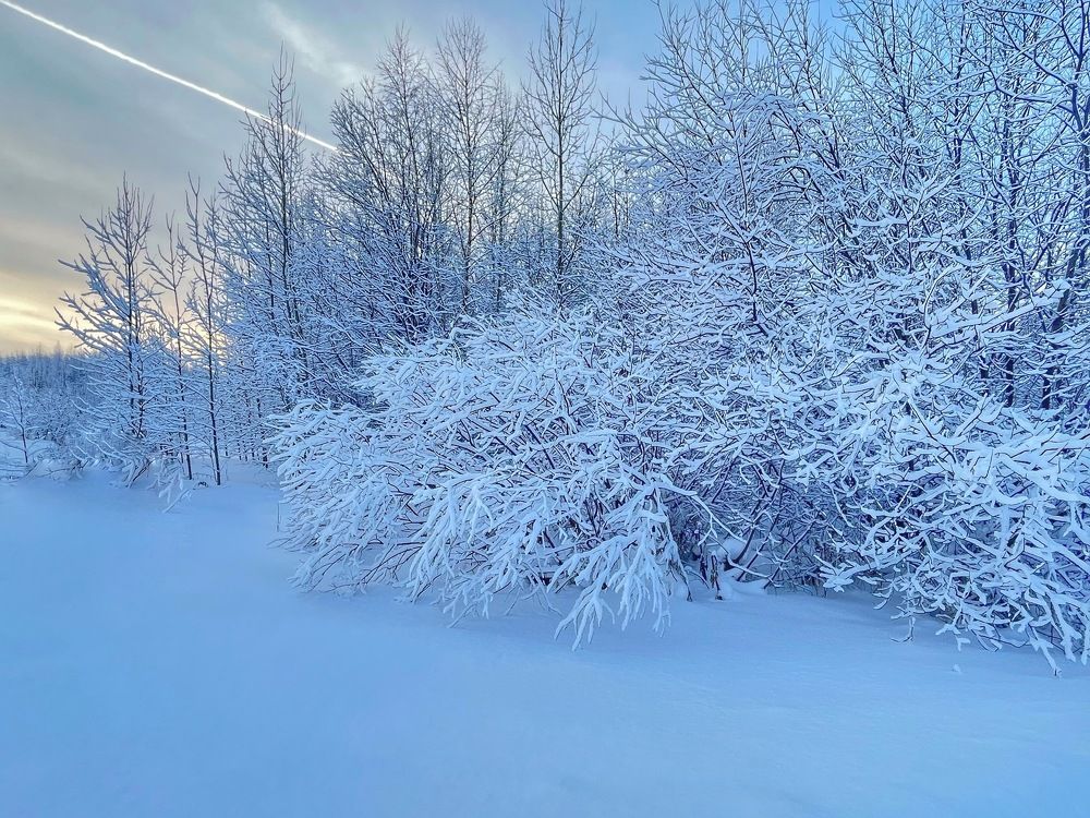 Photograph by Ирина Селиверстова