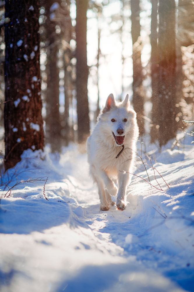 Photograph by Мария Кравченко