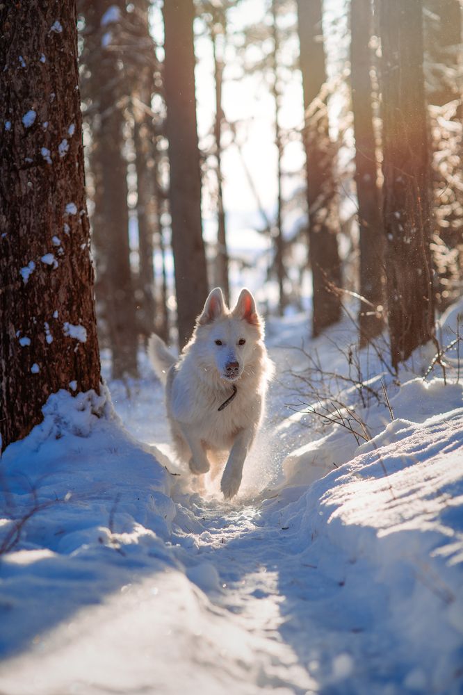 Photograph by Мария Кравченко