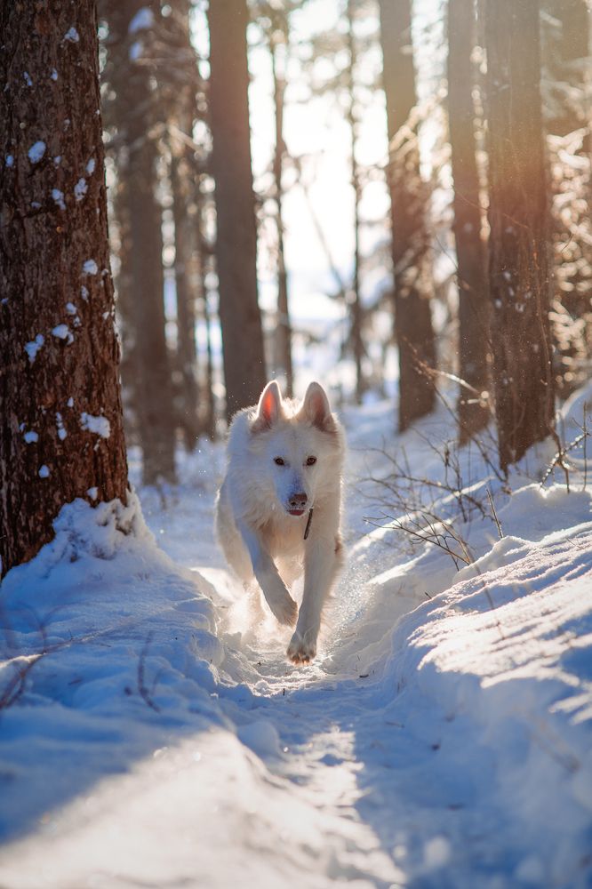 Photograph by Мария Кравченко