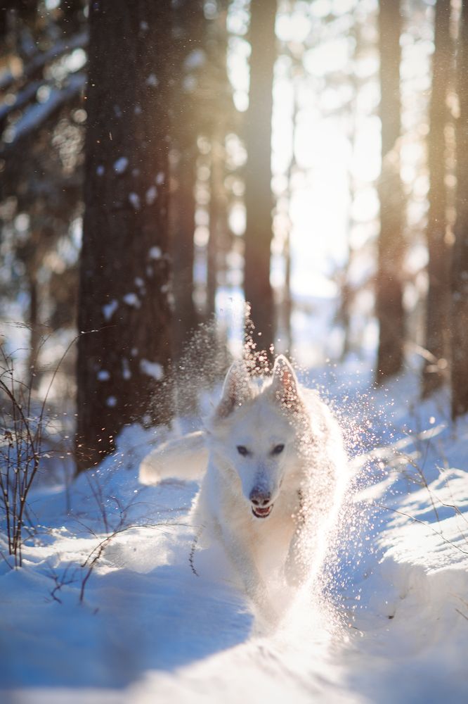 Photograph by Мария Кравченко
