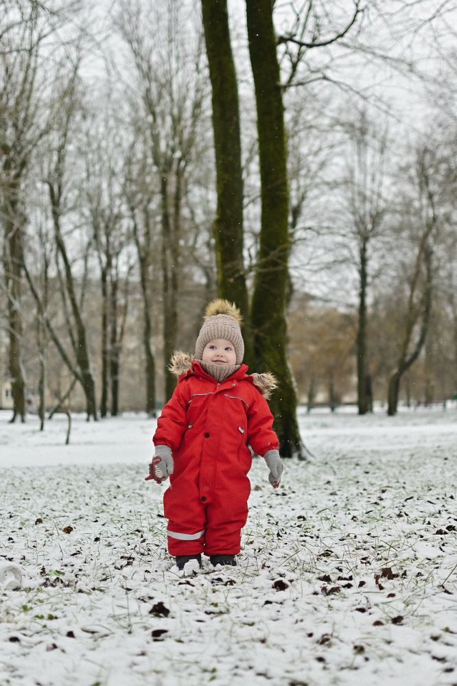 Фотография автора Екатерина Высоцкая