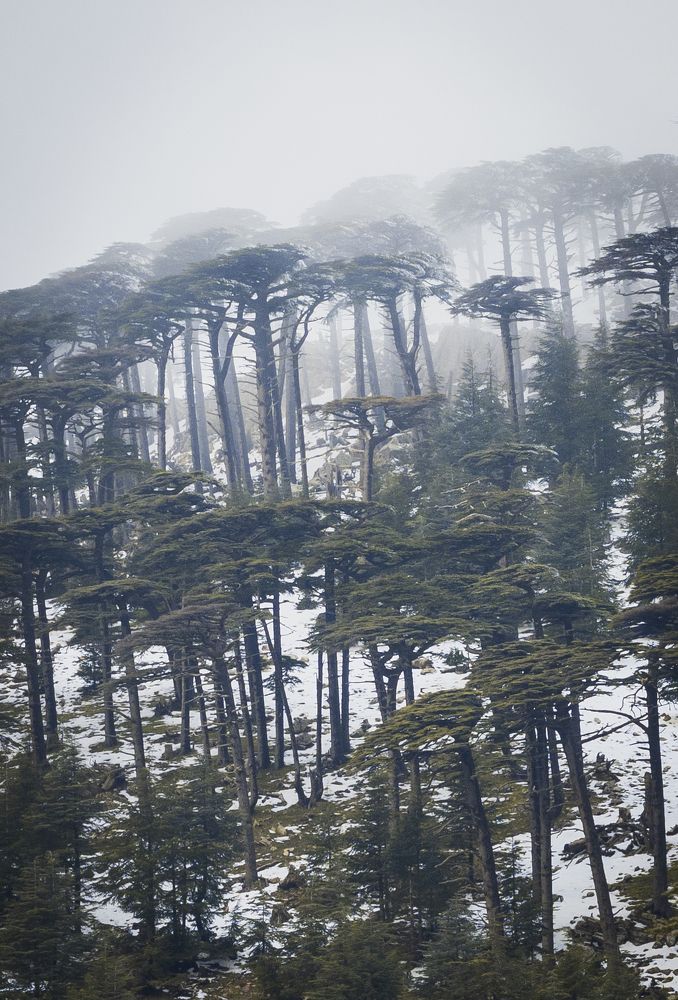 Photograph by Mohamed Haddad