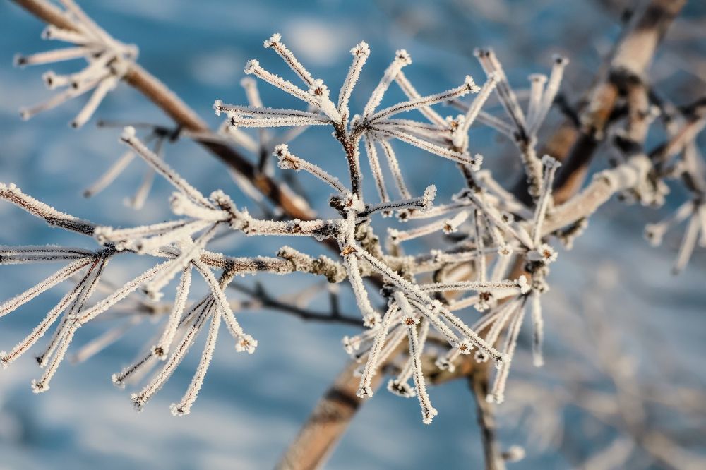 Фотография автора Александр Лютиков