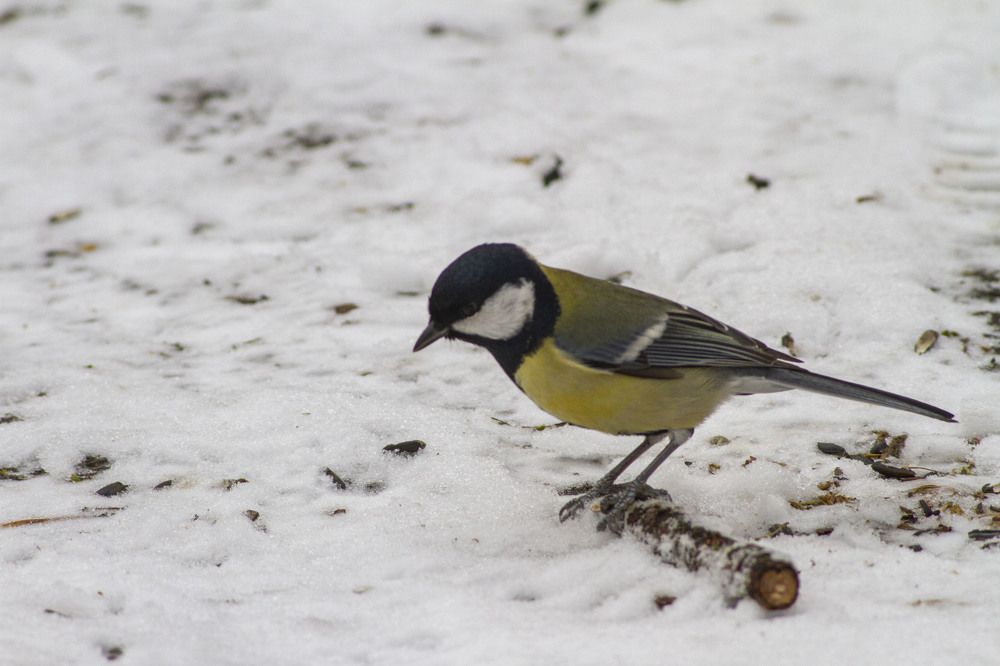 Photograph by Владислав Капанов