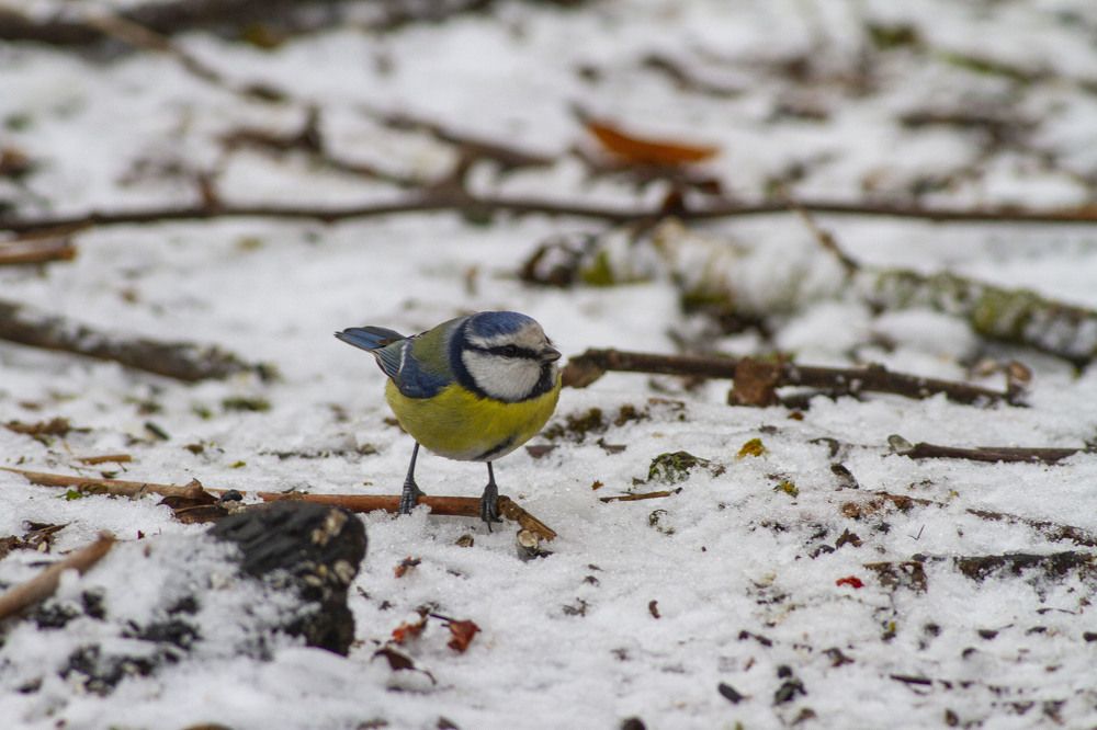 Photograph by Владислав Капанов